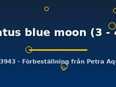 Xiphophorus variatus blue moon 3–4 cm