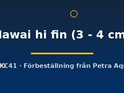 Hawai hi fin (3 - 4 cm)