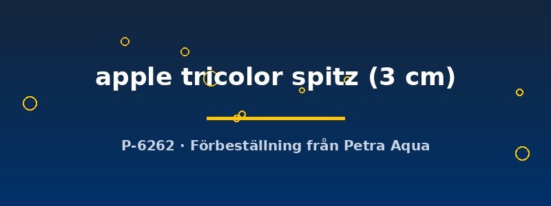 petra-ph2-179283 petra-ph2-179283