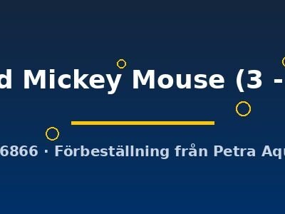 Xiphophorus maculatus coral red Mickey Mouse 3–3,5 cm