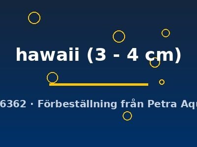 hawaii (3 - 4 cm)