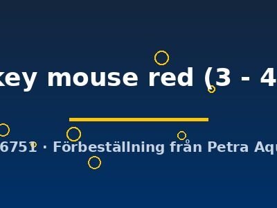 mickey mouse red (3 - 4 cm)