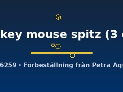 mickey mouse spitz (3 cm)