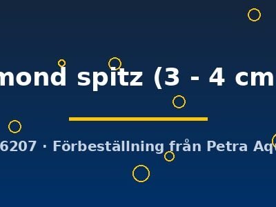 mond spitz (3 - 4 cm)
