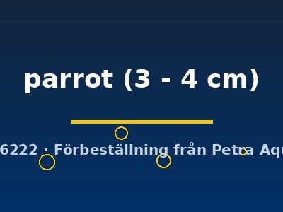 parrot (3 - 4 cm)