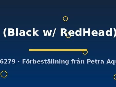 red parrot (Black w/ RedHead) (3 - 4 cm)