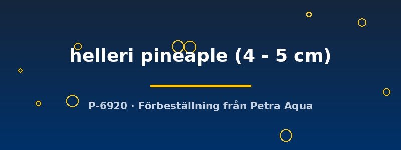petra-ph2-179448 petra-ph2-179448