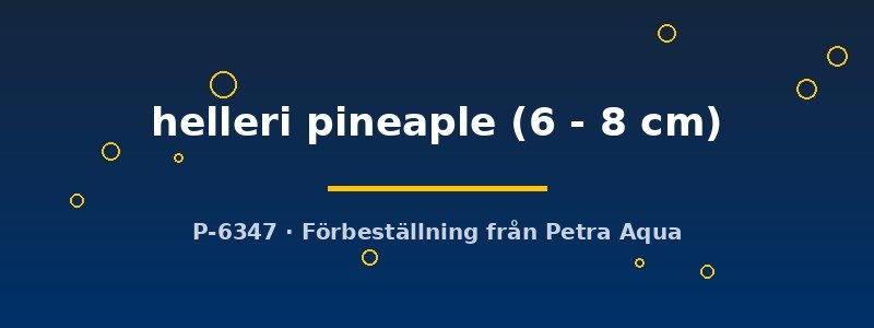 petra-ph2-179449 petra-ph2-179449