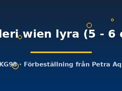 helleri wien lyra (5 - 6 cm)
