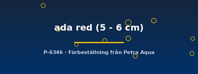petra-ph2-179459 petra-ph2-179459