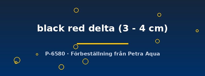 petra-ph2-179479 petra-ph2-179479
