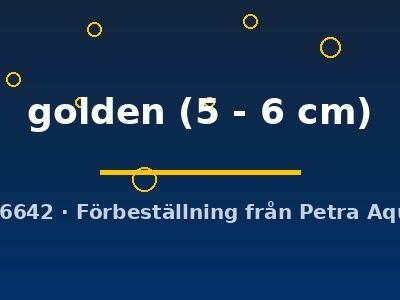 golden (5 - 6 cm)