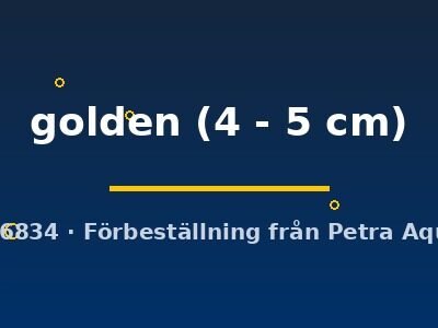 golden (4 - 5 cm)