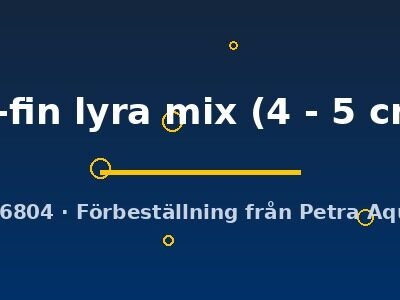 hi-fin lyra mix (4 - 5 cm)