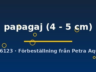 papagaj (4 - 5 cm)
