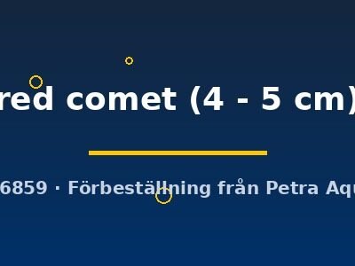 red comet (4 - 5 cm)