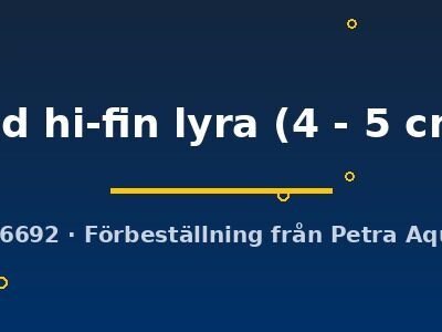 red hi-fin lyra (4 - 5 cm)