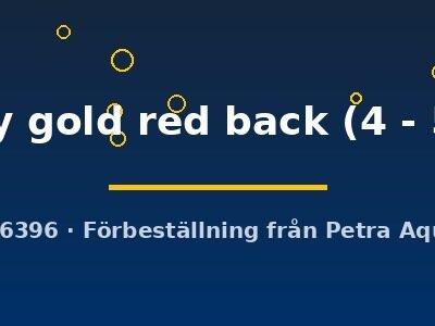rmary gold red back (4 - 5 cm)