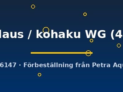 santa claus / kohaku WG (4 - 5 cm)