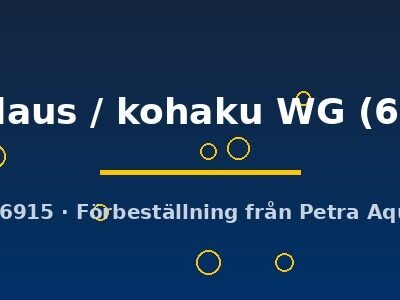 santa claus / kohaku WG (6 - 7 cm)