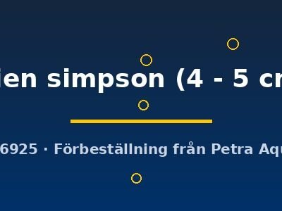 wien simpson (4 - 5 cm)
