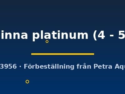 Poecilia latipinna platinum 4–5 cm