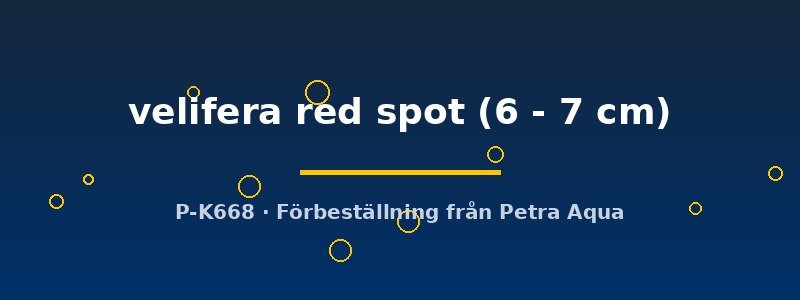 petra-ph2-179606 petra-ph2-179606