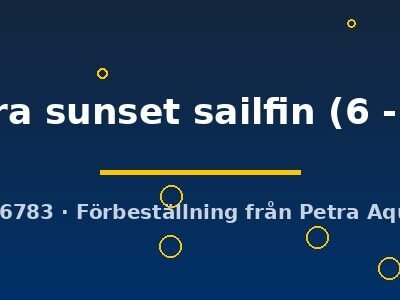 velifera sunset sailfin (6 - 7 cm)