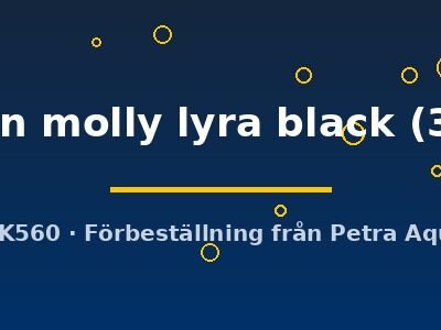 Poecilia latipinna ballon molly lyra black 3 cm