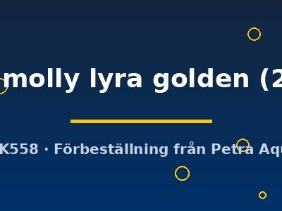 Poecilia latipinna ballon molly lyra golden 2,5 cm