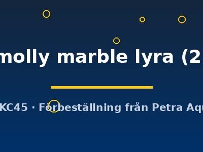Poecilia latipinna ballon molly marble lyra 2–3 cm