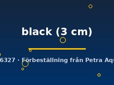 Poecilia latipinna black 3 cm