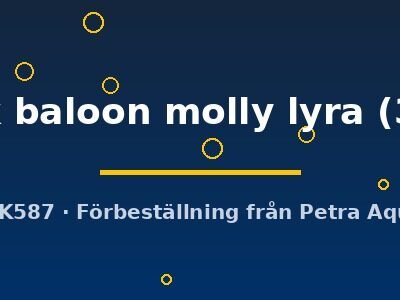 Poecilia latipinna black baloon molly lyra 3 cm