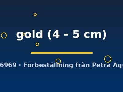 Poecilia latipinna gold 4–5 cm