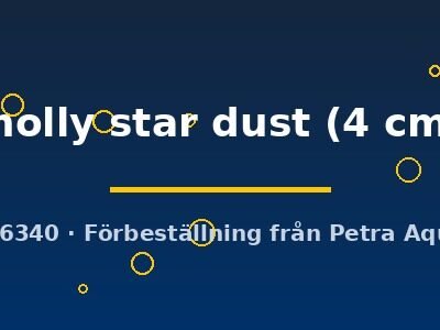 molly star dust (4 cm)