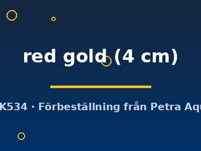 red gold (4 cm)