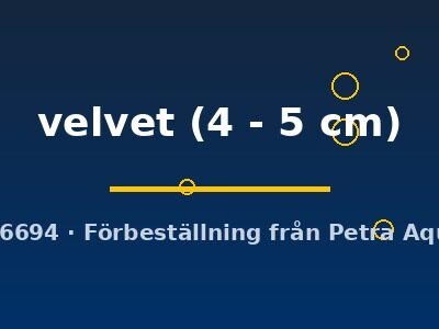 velvet (4 - 5 cm)