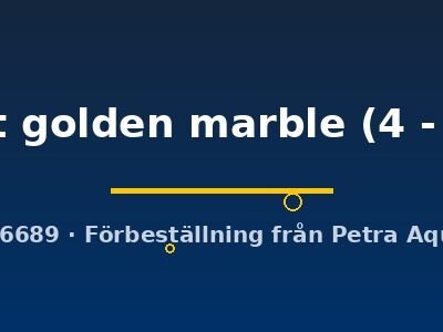 velvet golden marble (4 - 5 cm)