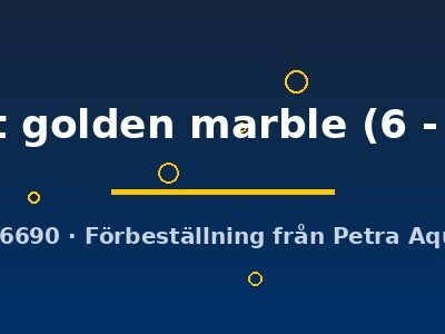 velvet golden marble (6 - 7 cm)