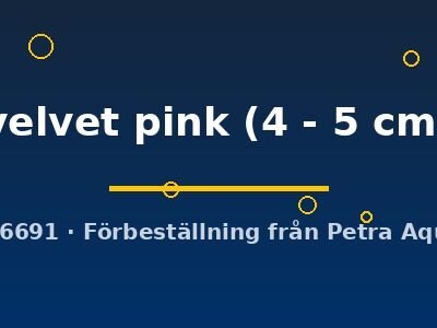 velvet pink (4 - 5 cm)