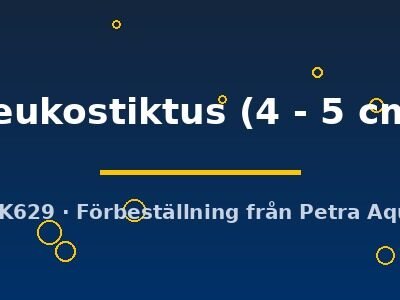 Leukostiktus (4 - 5 cm)