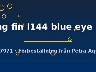 lemon long fin l144 blue eye (5 - 6 cm)