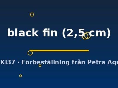 Aspidoras black fin 2,5 cm