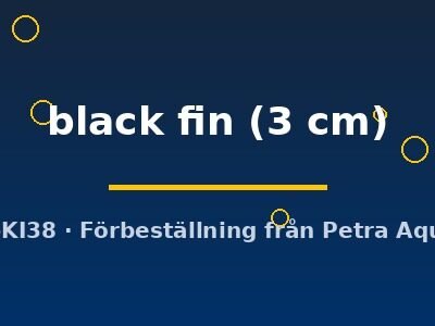 Aspidoras black fin 3 cm