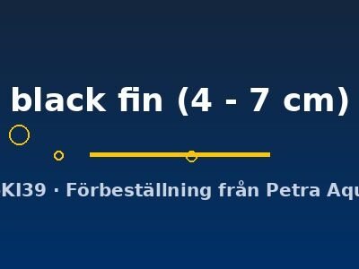Aspidoras black fin 4–7 cm