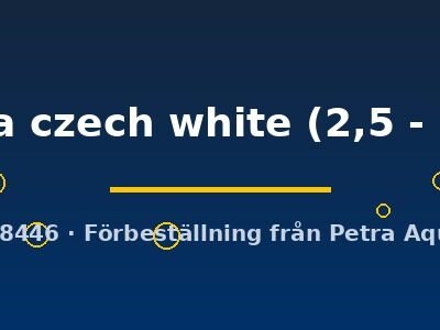 panda czech white (2,5 - 3 cm)