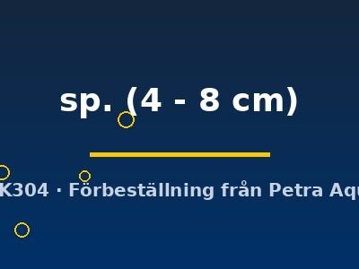 sp. (4 - 8 cm)