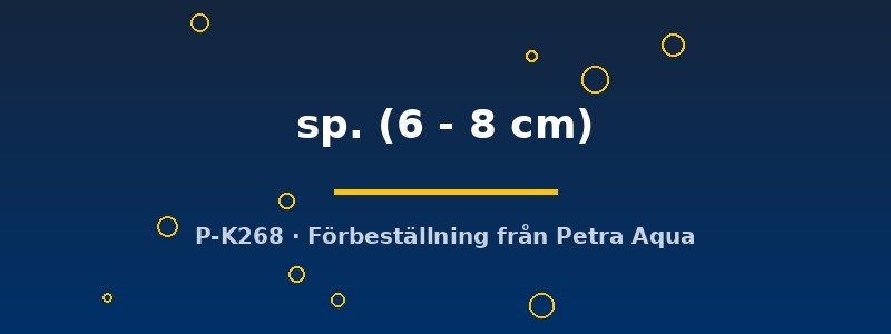 petra-ph2-180237 petra-ph2-180237