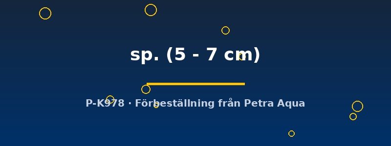 petra-ph2-180282 petra-ph2-180282