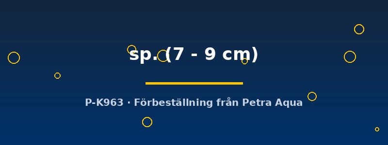 petra-ph2-180309 petra-ph2-180309